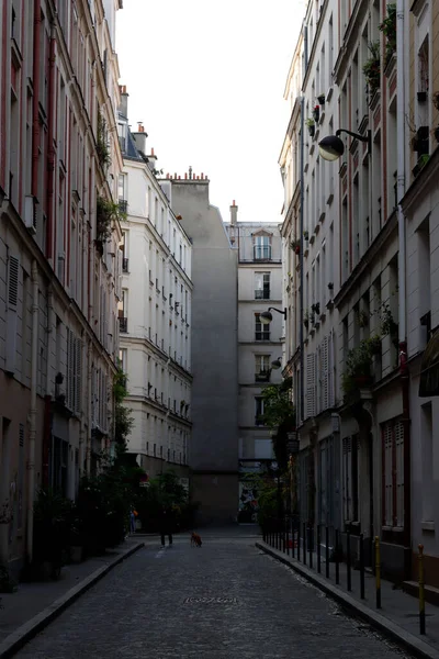 Classic Apartment Block Paris — Stock Photo, Image