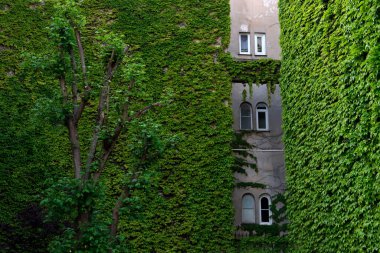 PF Paris 'te mimarlık