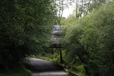 Kırsalda ilkbahar bitkileri