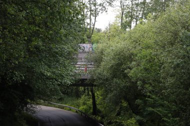 Kırsalda ilkbahar bitkileri