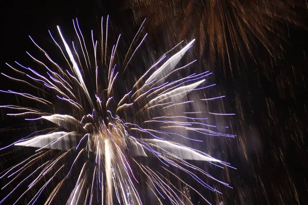 Fireworks Exhibition Night Sky — Stock Photo, Image