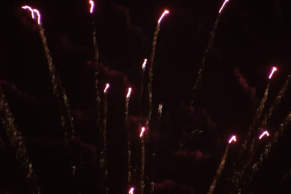 Vuurwerk Tentoonstelling Nachtelijke Hemel — Stockfoto