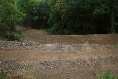 Bir şehir parkında yol