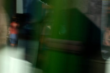 Bir şehir parkında bitki örtüsü