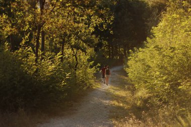Sonbahar parkında şehir