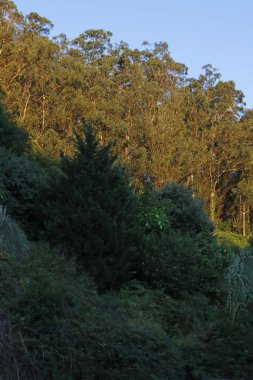 Şehir parkında sonbahar