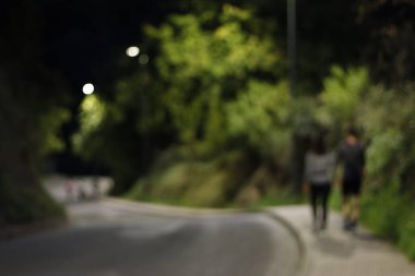 Bir şehir parkında bitki örtüsü