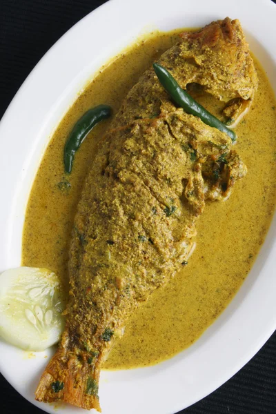 Maacher jhol - a Bengali Fish Curry — Stock Photo, Image