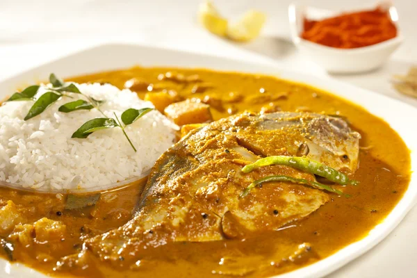 balık köri pirinç Hindistan