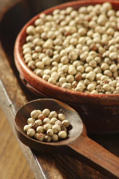 White Pepper Corn — Stock Photo, Image