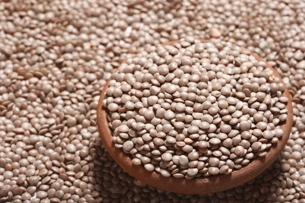 Black masoor dal - an Indian Lentil often used for making Dal makani — Stock Photo, Image