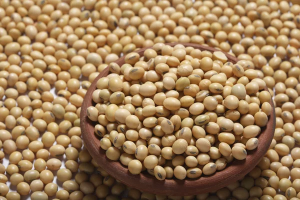 Soia - un legume spesso usato come verdura . — Foto Stock