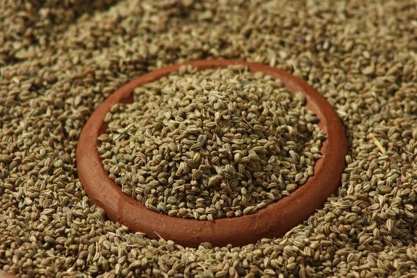 Ajwine or Carom Seeds is an uncommon spice. — Stock Photo, Image