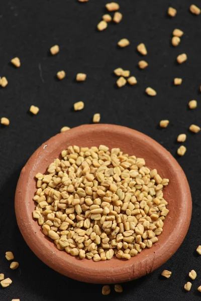 Fenugreek is used both as an herb (the leaves) and as a spice (t — Stock Photo, Image