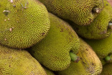 nefesi meyve durak karayolu üzerinde.