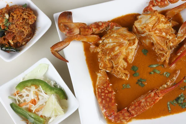 Goan krabba curry från Indien — Stockfoto