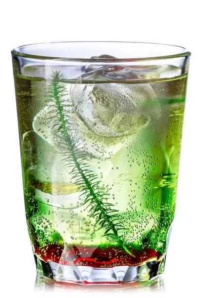 Summer forest cocktail — Stock Photo, Image