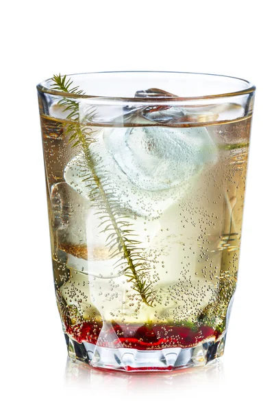 Cocktail de verão — Fotografia de Stock