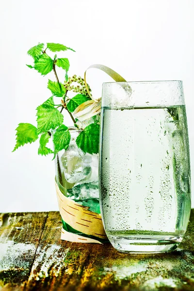 Birch sap on table — Stock Photo, Image