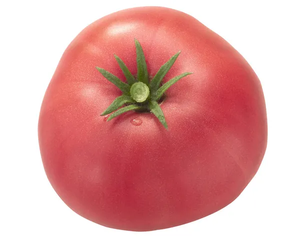Hypotekslånelyftare Arvegods Rosa Tomat Solanum Lycopersicum Frukt Isolerad Ovanifrån — Stockfoto
