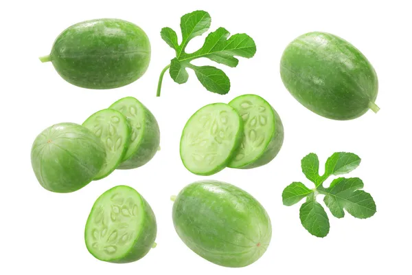 Plody Okurky Salátové Cucumis Anguria Listy Listové — Stock fotografie