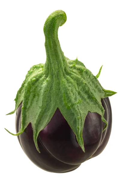 Ribbade Äggplantor Eller Aubergine Solanum Melongena Frukt Hela Isolerade — Stockfoto