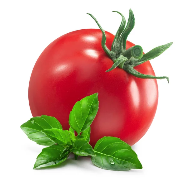 Fresh Tomato Tiny Greek Basil Leaves Isolated — Stock Photo, Image