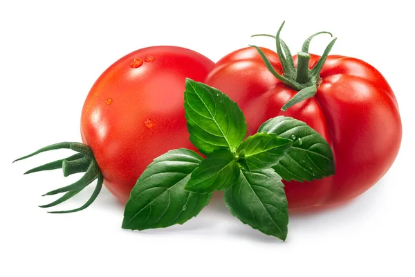 Fresh Tomatoes Basil Leaves Isolated — Stock Photo, Image