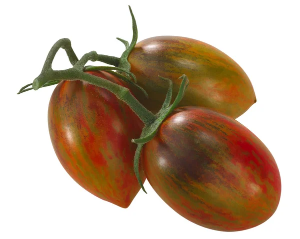 Brads Kärndruva Heirloom Tomater Vinstocken Kluster Isolerade Solanum Lycopersicum Frukter — Stockfoto