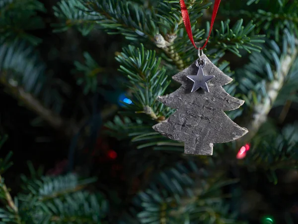 Sonsuza dek yeşil bir ağaçta ev yapımı Noel süsü.