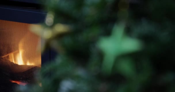 Stojan Ohnisko Krbu Hvězdu Vánoční Ozdoba Věčně Zeleném Stromě — Stock video