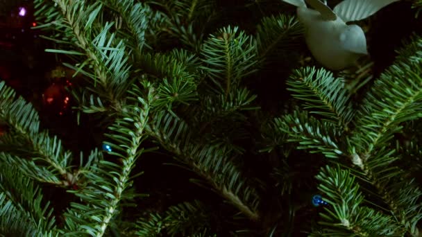 Een Panning Shot Naar Een Zelfgemaakte Berk Dop Kerst Ornament — Stockvideo