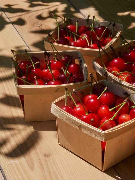 Cherry Fruit Basket Harvest Market Fresh Wood Outdoors Dappled Sunshine — Fotografia de Stock
