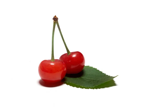 Ripe cherry fruit closeup isolated on a white background