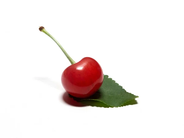 Ripe Cherry Fruit Closeup Isolated White Background — Fotografia de Stock