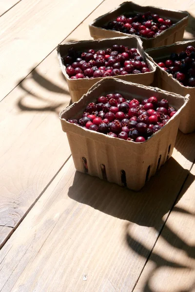 Saskatoon, service berry basket harvest, market fresh on wood, outdoors in dappled sunshine