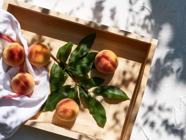 Yaz güneşinde yapraklı tepside taze koparılmış organik şeftaliler.