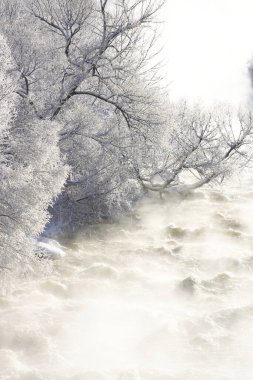 Kış nehri, ağaçlarda kar ve buzla dolu.