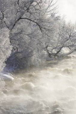 Kış nehri, ağaçlarda kar ve buzla dolu.
