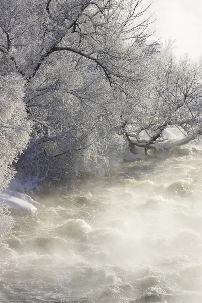 Kış nehri, ağaçlarda kar ve buzla dolu.