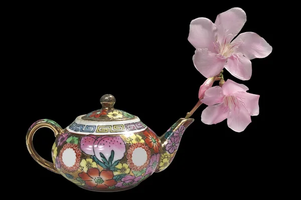 Květina, kvetoucí ze čajové konvice — Stock fotografie