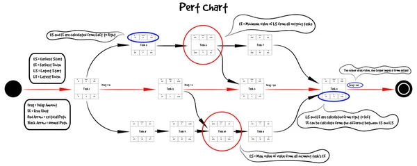 PERT diagram educational template vector — Stock Vector