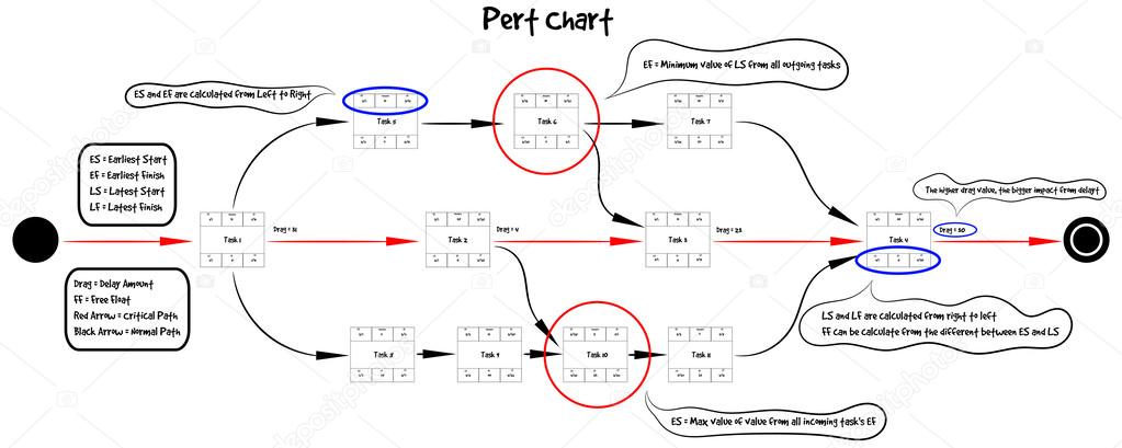 Pert Diagram Educational Template Vector Stock Vector C Nattul