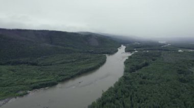 İHA 'nın çerçevesinde güzel bir manzara. Ormanlar ve dağ nehri.