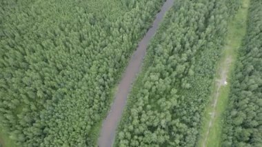İHA 'nın çerçevesinde güzel bir manzara. Ormanlar ve dağ nehri.