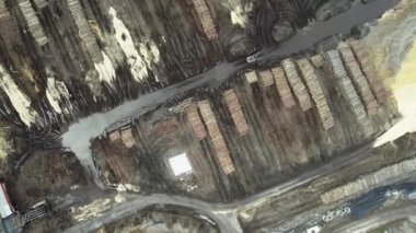 Rusya 'nın ormanlarının tahrip edilmesi, çevre sorunları, talaş, toprak, insansız hava aracı uçuşları