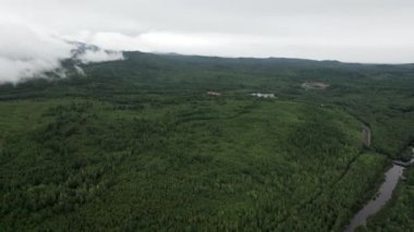 İHA 'nın çerçevesinde güzel bir manzara. Ormanlar ve dağ nehri.