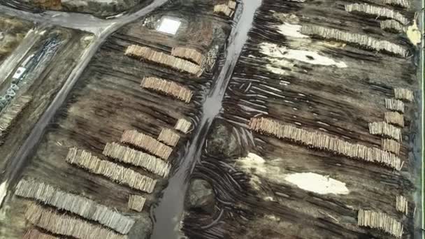 Deforestation of Russia, environmental problems, sawdust, dirt, drone flight — Vídeo de Stock