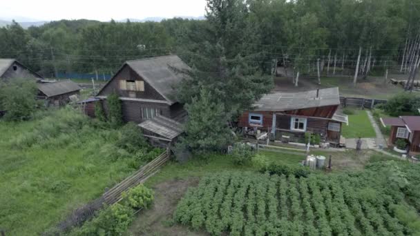 乘坐无人驾驶飞机飞越俄罗斯村庄。远东烟雾弥漫的森林. — 图库视频影像