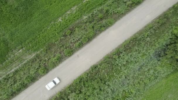 Drone view of a car driving on a rural road. country road through an empty field — Wideo stockowe
